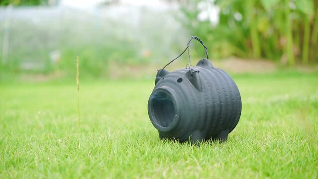 芝生の上に置いてある蚊遣り豚