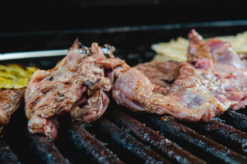 Pieces of meat and nopal on a grill. High quality photo. Fine cuts of meat being prepared. Quality meat on the grill.
