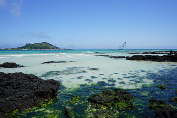 Fototapeta premium mossy rocks in shoaling beach