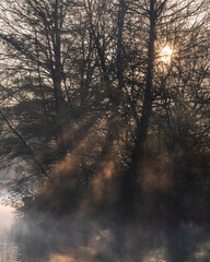 Beautiful landscape image of sunrise mist on urban lake with sun beams streaming through tress lighting up water surface