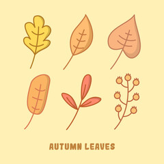 autumn leaves shape design on isolated background