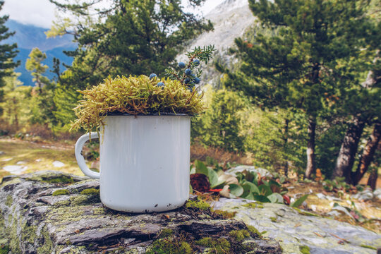 Enamel white mug with the forest background and moss mockup. Trekking merchandise and camping gear marketing photo. Stock wildwood photo with white metal cup. Rustic scene, product mock up template