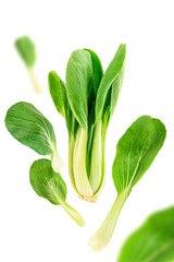 Obraz premium Bok choy vegetable (or chinese cabbage) isolated on white background