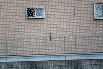 basketball hoop on the street