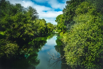 the danube flows through an urban forest with reflections on the water
