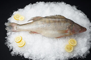 fresh fish hake on ice