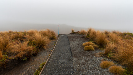 Tama Lakes track in thick fog, section of the track with mats preventing erosion. Tongariro...