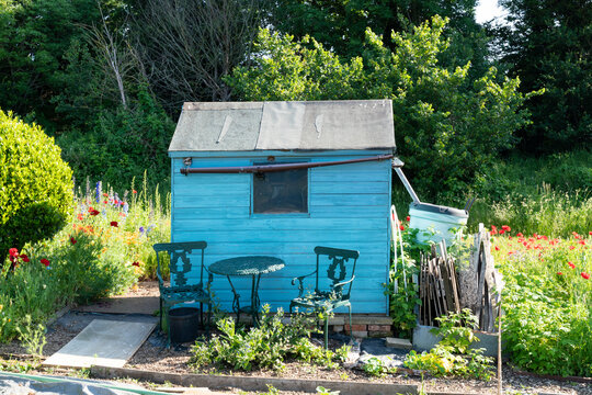 Blue garden shed on allotment suggesting gardening, retirement.