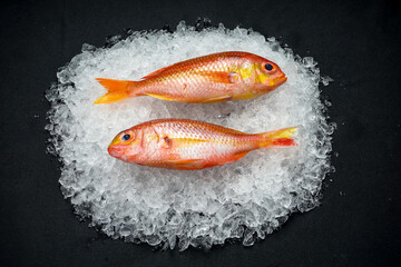 two red fish on ice on a black background