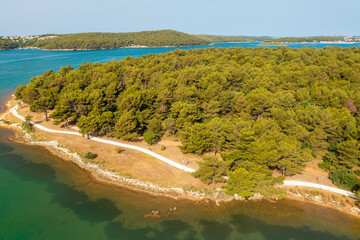 Aerial view of a coastal pine forest near Medulin town in Istra, Croatia