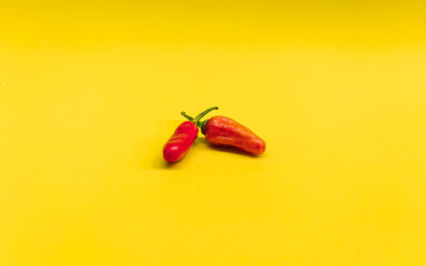 close up photo of red chili with yellow isolated background