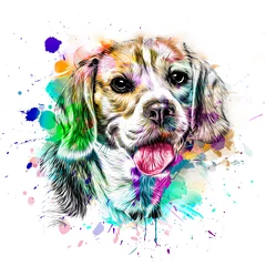 Sierkussen dog head with creative colorful abstract elements on light background © reznik_val