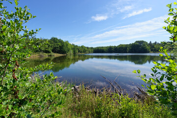Fototapeta na wymiar Pond in the Sensitive Natural Area of the Sorques plain