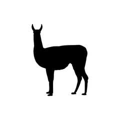 Llama Silhouette Vector. Best Llama Icon Vector Illustration.