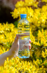 Girl holds a bottle of drinking water against the background of a blooming yellow rhododendron
