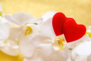 Symbol of love and a white Orchid on a gold background
