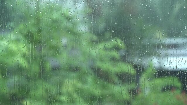 Rain drops on the window
