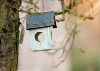 Wooden bird feeder house in tree