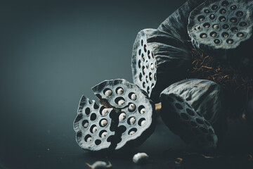 black and white taurus lotus seed symbolize peace and meditate 