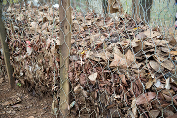 Compost dried leaves in a net, Compost fertiliser