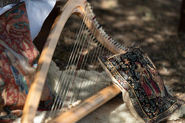 Cross-strung chromatic harp, celtic Harp