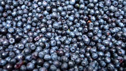 Fresh blueberry background. Texture blueberry berries close up. Selective focus.