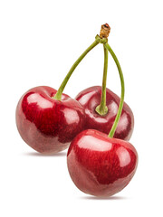 Cherry isolated on white background with clipping path