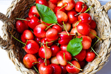 Fresh red cherries, organic cherries in wicker basket with stems and leaves.