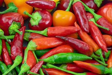 peppers juicy red hot chili closeup background vegetable bright