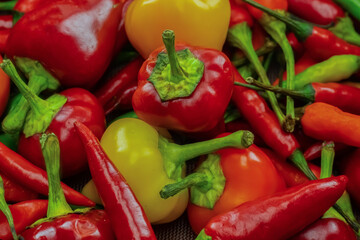 chili pepper hot red and yellow background vegetable