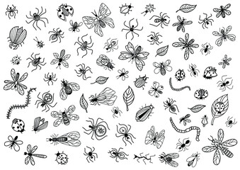 Insects set vector hand drawn outline illustration isolated on white. Vector butterfly, bee, dragon, grasshopper, cockroach, beetle.