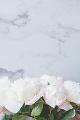 Beautiful blooming peony flowers on marble background. Trendy mockup with space for your design