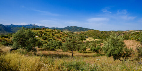 Andaluzyjskie wzgórza w okolicach Kordoby