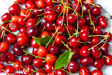 Fresh red cherry, pile of cherries with stems and leaves close-up.