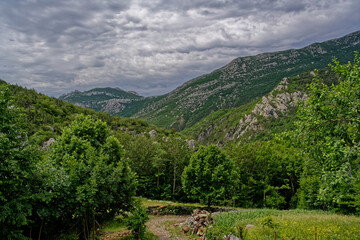 Fototapeta na wymiar Paysage du parc national
