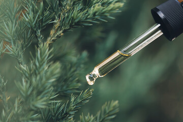 Pipette with essential liquid of pine