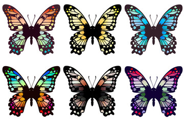 Fototapeta na wymiar 6羽のカラフルな蝶