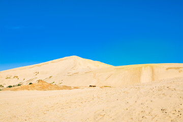 Fototapeta na wymiar Golden cones of Giant sand dunes under cloudless blue sky. Te Paki, Northland, Far North, New Zealand