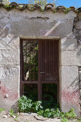 Old, picturesque main front door in mediterranean region house