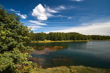 Beautiful lakeside view from a small lake in Russia, with lush green trees, blue sky and sunlight