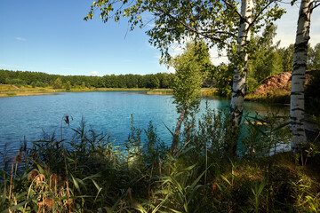 Beautiful lakeside view from a small lake in Russia, with lush green trees, blue sky and sunlight