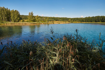 Beautiful lakeside view from a small lake in Russia, with lush green trees, blue sky and sunlight