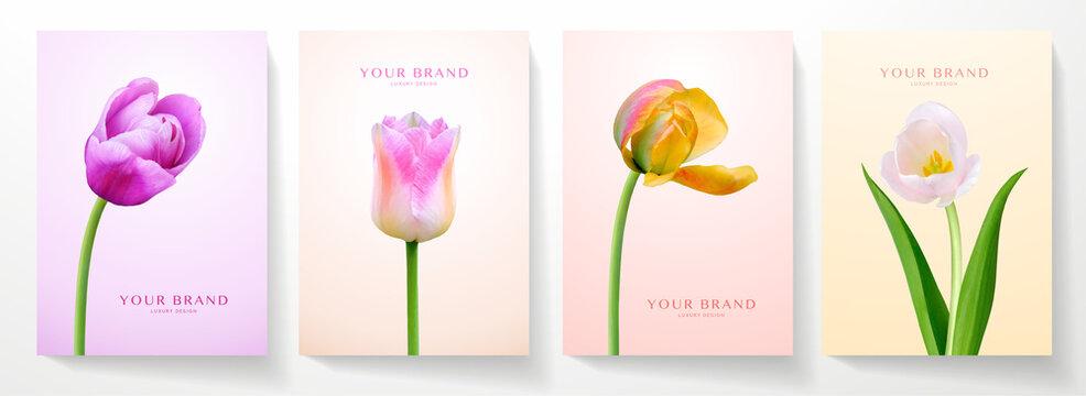 Summer cover design set. Red, purple, white tulip flower on colourful background. Elegant vector template for wedding invitation, summer sale, holiday celebration for womens day