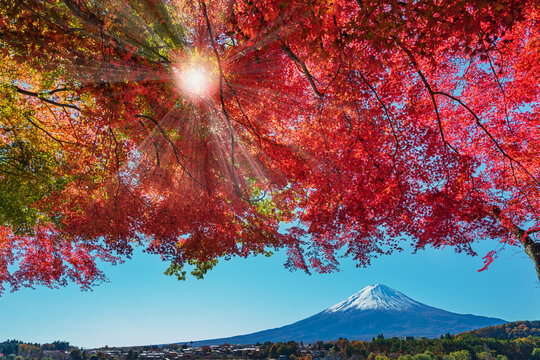 河口湖images Browse 8 0 Stock Photos Vectors And Video Adobe Stock