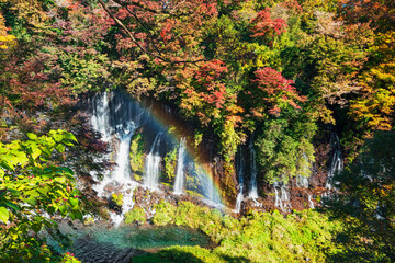 紅葉の白糸ノ滝に掛かる虹