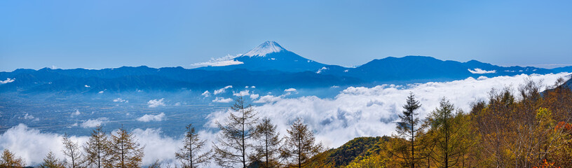 甘利山より雲海越しに富士山を望む