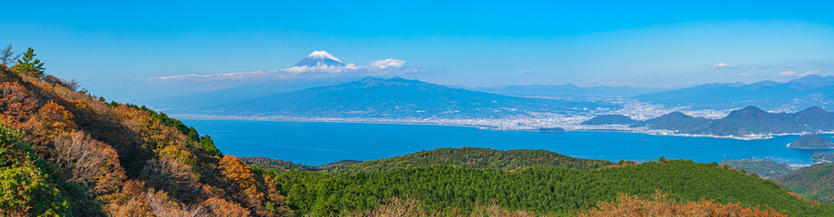 達磨山高原より富士山を望む