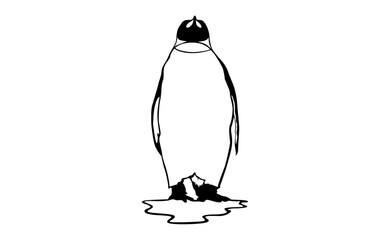 adorable Penguin vector
