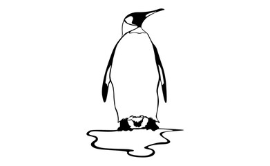 adorable Penguin vector