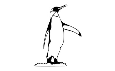 adorable Penguin vector
